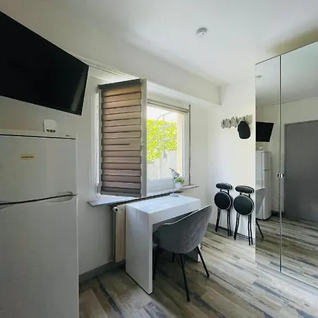 Apartamento Dnn Stylish - Wifi, Parking, Near Basel & Airport - Portable Ac, Dishwasher, Washing Machine