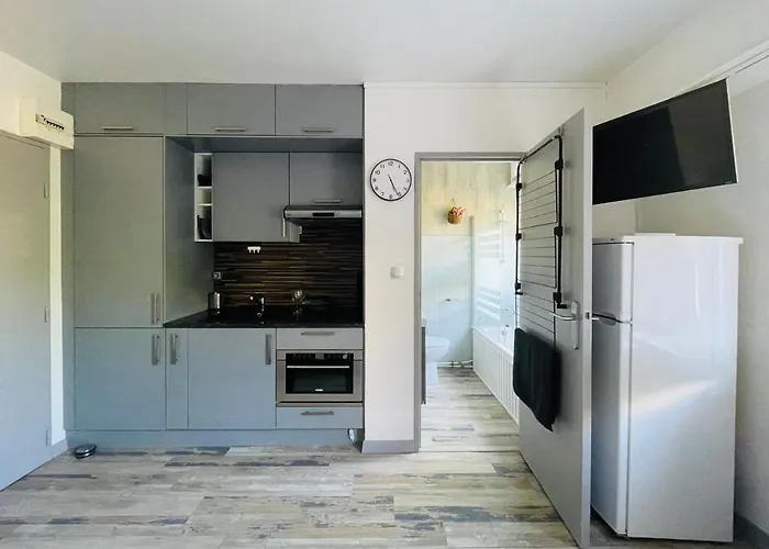 Dnn Stylish - Wifi, Parking, Near Basel & Airport - Portable Ac, Dishwasher, Washing Machine Appartement
