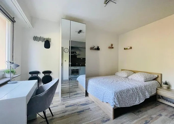 Dnn Stylish - Wifi, Parking, Near Basel & Airport - Portable Ac, Dishwasher, Washing Machine
