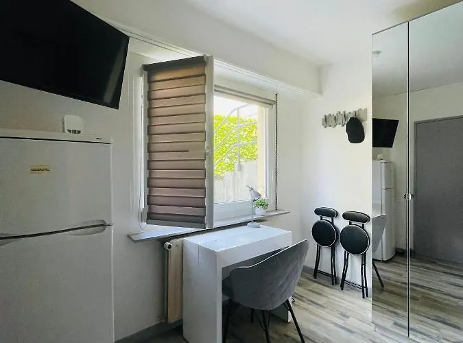 Appartement Dnn Stylish - Wifi, Parking, Near Basel & Airport - Portable Ac, Dishwasher, Washing Machine
