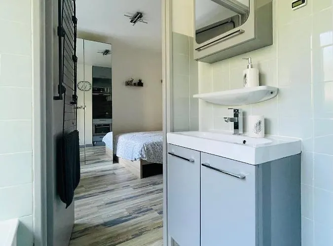 Dnn Stylish - Wifi, Parking, Near Basel & Airport - Portable Ac, Dishwasher, Washing Machine