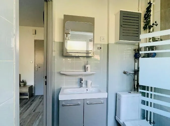 Dnn Stylish - Wifi, Parking, Near Basel & Airport - Portable Ac, Dishwasher, Washing Machine