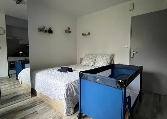 Appartement Dnn Stylish - Wifi, Parking, Near Basel & Airport - Portable Ac, Dishwasher, Washing Machine Saint-Louis (Haut-Rhin)
